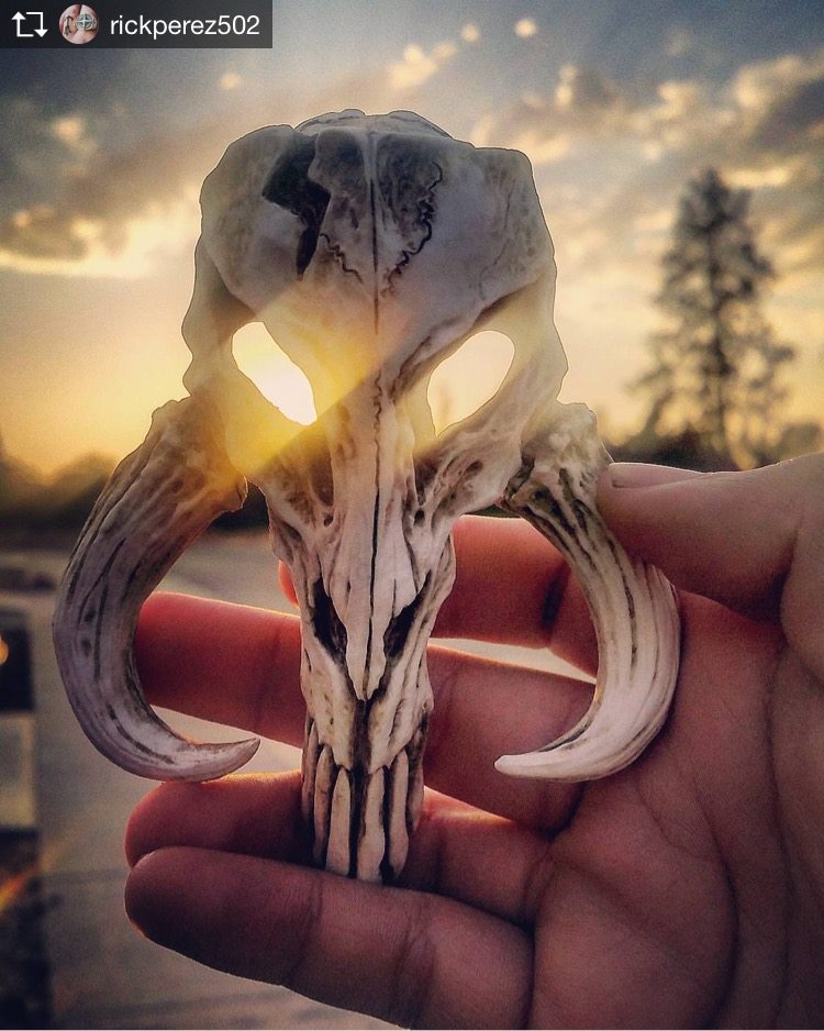 mythosaur skull mini sculpture for sale