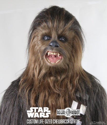 Chewbacca's mask from Star Wars