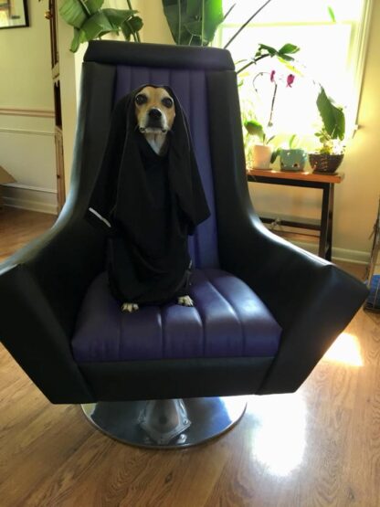 Emperor throne chair with dog