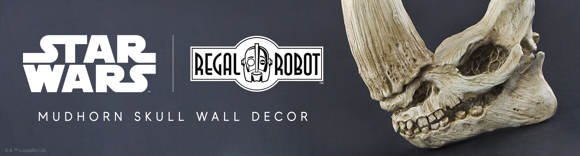 Regal Robot Star Wars Mandalorian skulls and decor